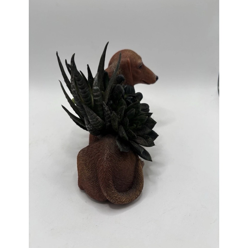 THE BRADFORD EXCHANGE  Dachshund Planter Succulents Numbered - Picture 4 of 6